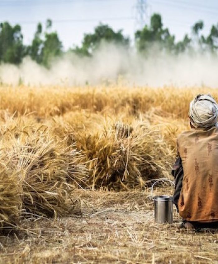 Land grabbing: i predatori della terra